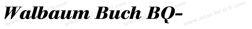 Walbaum Buch BQ字体转换